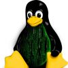  Linux    3.19.3